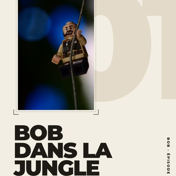 Bob dans la jungle, épisode 1. Bob est une minifigure Lego.

Bob s'est caché trois fois da…