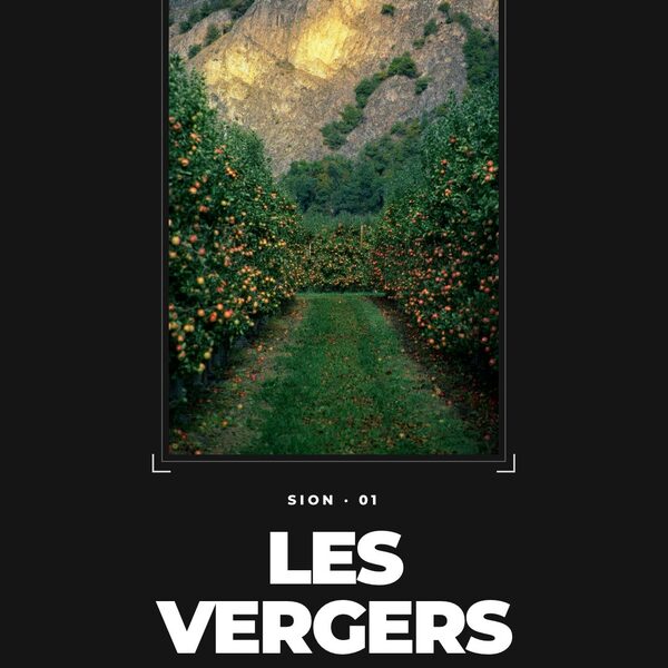Sion, les vergers.
Les pommes rouges sur les arbres, la falaise au fond, et un hôtel à ins…